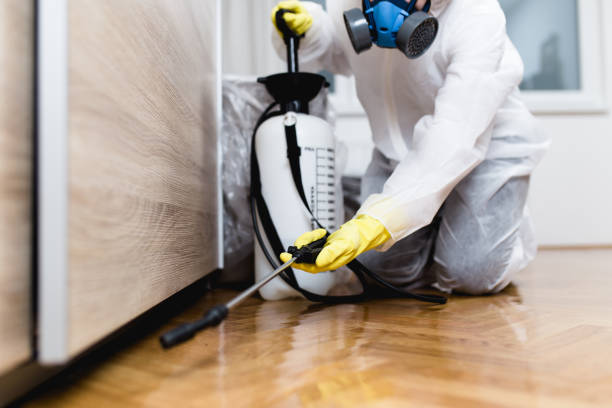 Best Best Pest Control Companies  in Nocona, TX