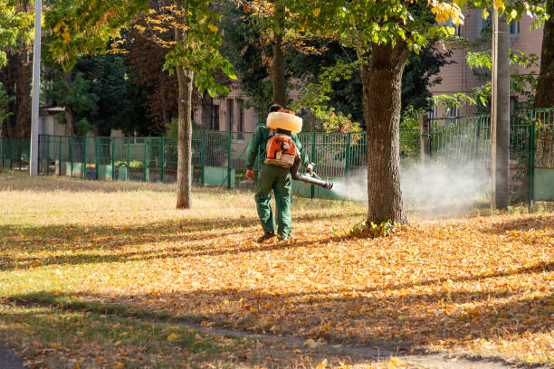 Best Affordable Pest Control Services  in Nocona, TX