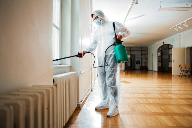 Best Mosquito Control Services  in Nocona, TX