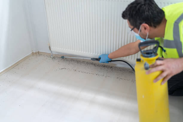 Best Pest Inspection Near Me  in Nocona, TX
